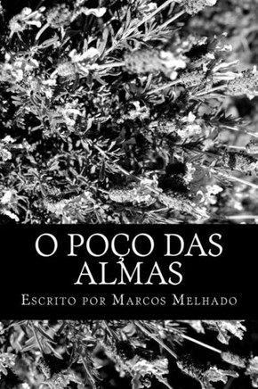 O Po?o das Almas: Livro 1