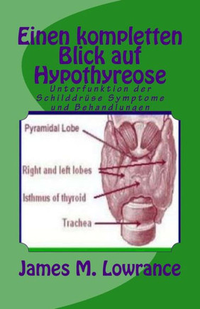 Einen kompletten Blick auf Hypothyreose: Unterfunktion der Schilddr?se Symptome und Behandlungen