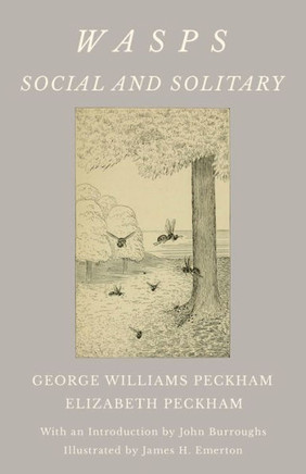 Wasps - Social and Solitary;With an Introduction by John Burroughs - Illustrated by James H. Emerton