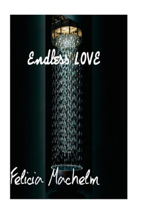 endless love: love novel