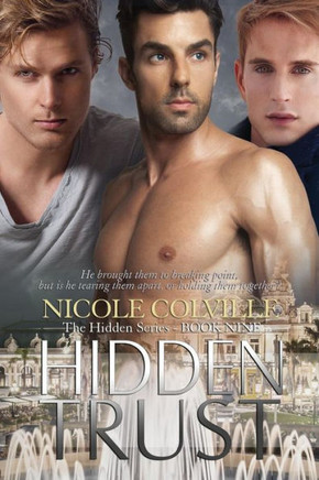 Hidden Trust: The Hidden Series
