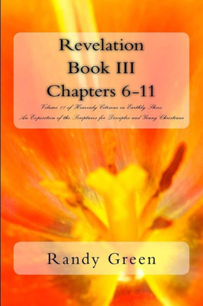 Revelation Book III: Chapters 6-11: Volume 11 of Heavenly Citizens in Earthly Shoes, An Exposition of the Scriptures for Disciples and Youn