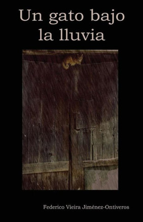 Un Gato Bajo La Lluvia