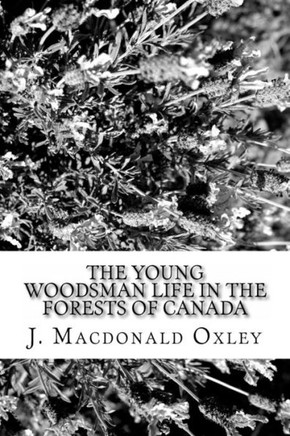 The Young Woodsman Life in the Forests of Canada: Or Life in the Forests of Canada