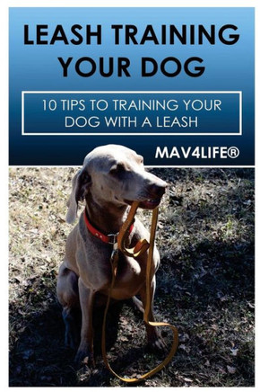 Leash Training Your Dog: 10 Tips to Training Your Dog with a Leash
