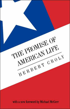 The Promise of American Life: Imprisonment in the World The Promise of American Life: Imprisonment in the World