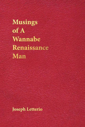 Musings Of A Wannabe Renaissance Man