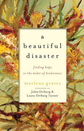 A Beautiful Disaster: Finding Hope in the Midst of Brokenness