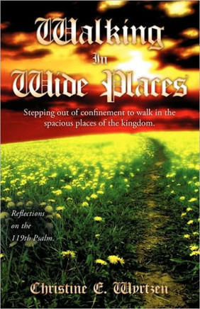 Walking In Wide Places