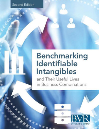 Benchmarking Identifiable Intangibles and Their Useful Lives in Business Combinations, Second Edition