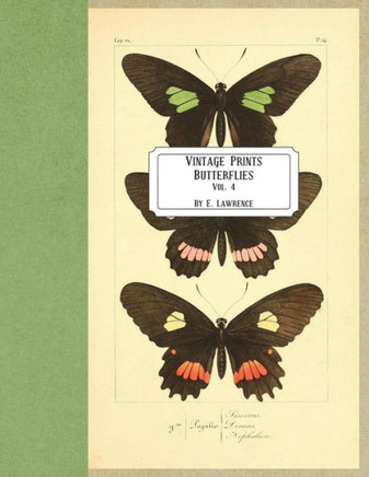 Vintage Prints : Butterflies: - 9781721569168