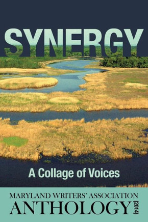 Synergy: A Collage of Voices Anthology 2014