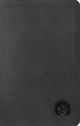 La Biblia de Estudio de la Reforma, Edici?n Condensada, Charcoal