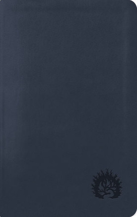 La Biblia de Estudio de la Reforma, Edici?n Condensada, Navy