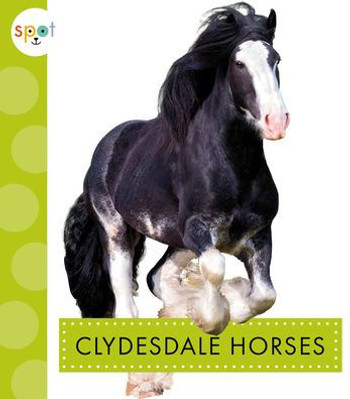 Clydesdale Horses