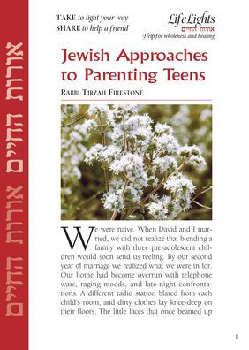 Jewish Approach to Parenting Teens-12 Pk