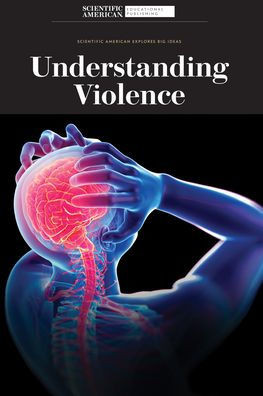 Understanding Violence