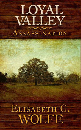 Loyal Valley: Assassination : 9781492124818