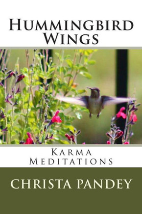 Hummingbird Wings: Karma Meditations