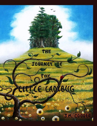 The Journey of the Little Ladybug