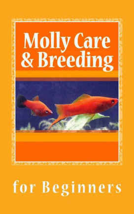 Molly Care & Breeding: A Beginner's Guide to Mollies