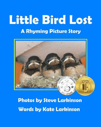Little Bird Lost