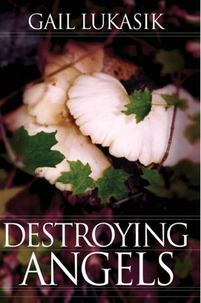 Destroying Angels: A Leigh Girard Mystery