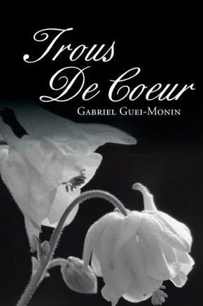 Trous de Coeur : 9781493139866