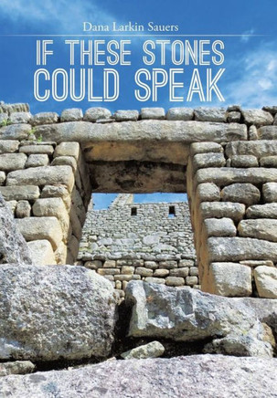 If These Stones Could Speak : 9781493190058