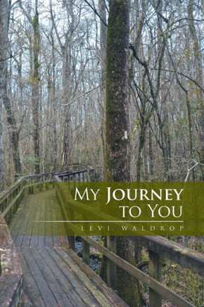 My Journey to You : 9781493199655