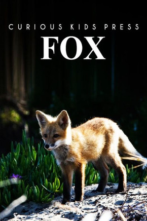 Fox: Amazing Facts about Fox Kids Picture Book
