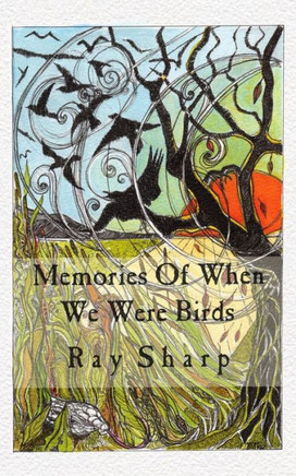 Memories Of When We Were Birds
