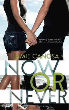 Now or Never : 9781493713394