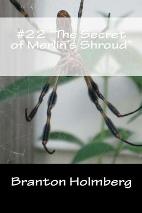 #22 ""The Secret of Merlin's Shroud"": Sam 'n Me(TM) adventure books