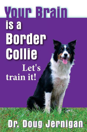 Your Brain is a Border Collie: Building the life you want, doggie style!