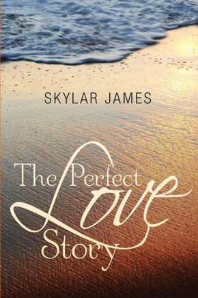 The Perfect Love Story : 9781494822965