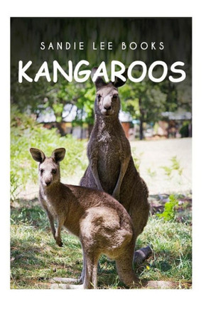 Kangaroos - Sandie Lee Books