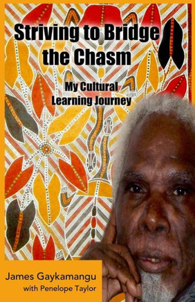 Striving to Bridge the Chasm: My Cultural Learning Journey