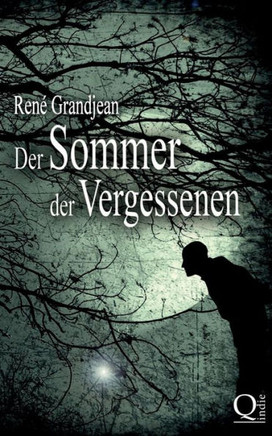 Der Sommer der Vergessenen: Band 1 von 2