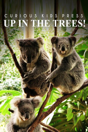 Up In The Trees! - Curious Kids Press: (Picture book, Children's book about animals, Animal books for kids 5-7)