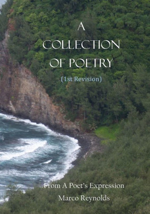 A Collection of Poetry (1st Revision): From A Poet's Expression