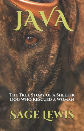 JAVA: The True Story of a Shelter Dog Who Rescued a Woman