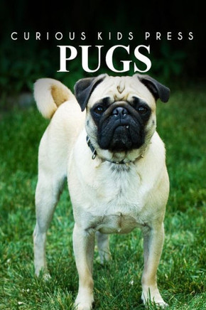 Pugs - Curious Kids Press: Kids book about animals and wildlife, Children's books 4-6