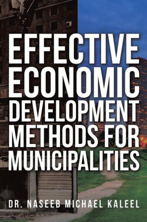 Effective Economic Development Methods for Municipalities : 9781498412971