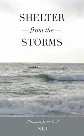 Shelter From the Storms; Promises from God : 9781498430005