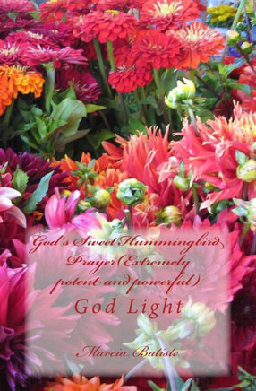 God's Sweet Hummingbird Prayer(Extremely potent and powerful): God Light