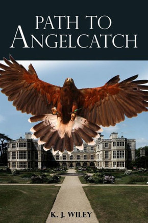 Path to Angelcatch