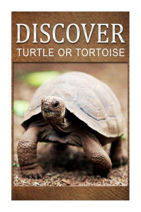 Turtle Or Tortoise - Discover: Early reader's wildlife photography book