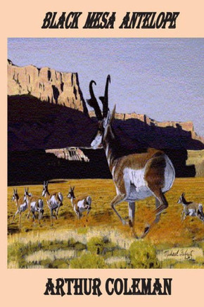 Black Mesa Antelope: Black Mesa Antelope