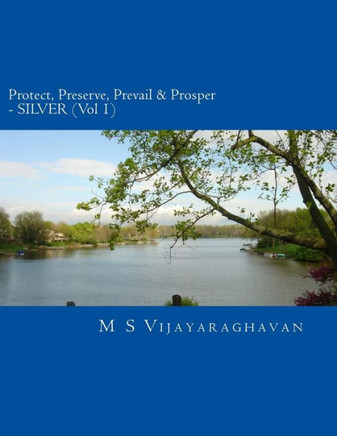 Protect, Preserve, Prevail and Prosper - Vol 1 SILVER: Business Protection and Recovery from Disasters